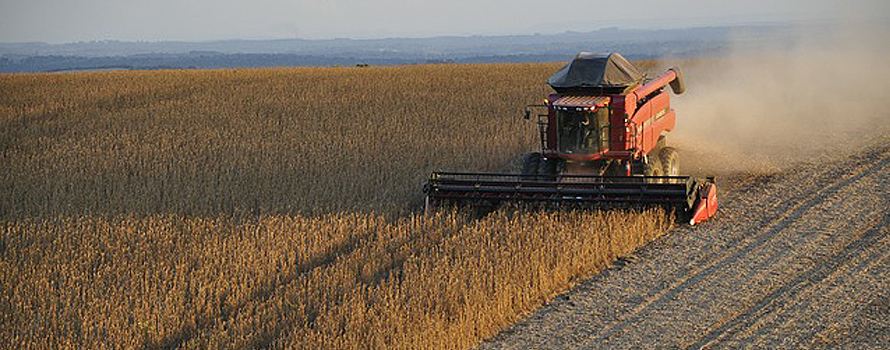 GRAIN  Latin America - Soya nexus in South America