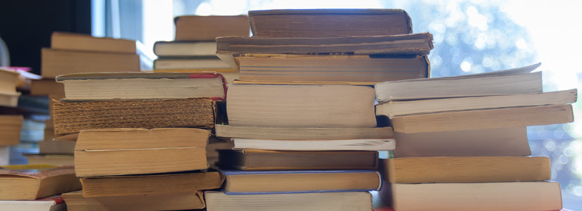 Líneas de investigación - Doctorado en Ciencias Naturales y Aplicadas Líneas de investigación - Doctorado en Ciencias Naturales y Aplicadas