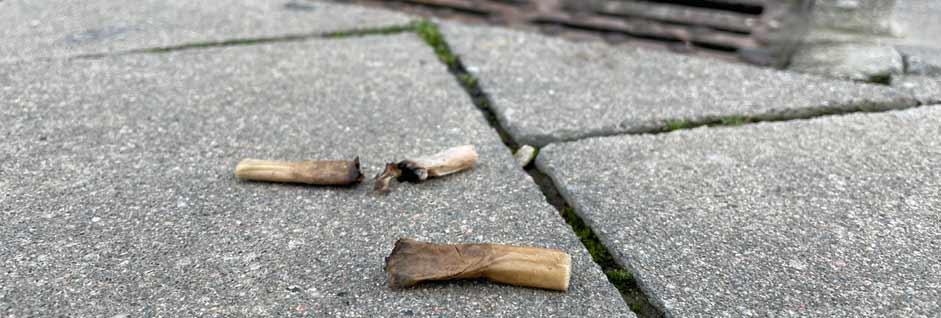 Three reasons not to throw cigarette butts on the ground