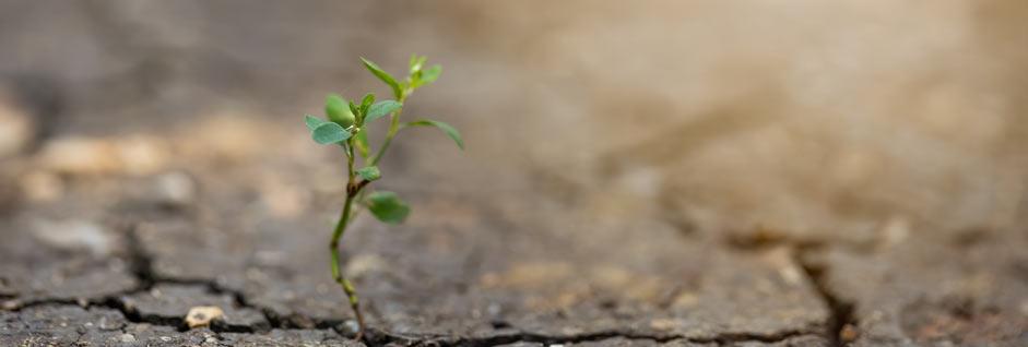 Algunos principios para comunicar el cambio climático con imágenes en las redes sociales