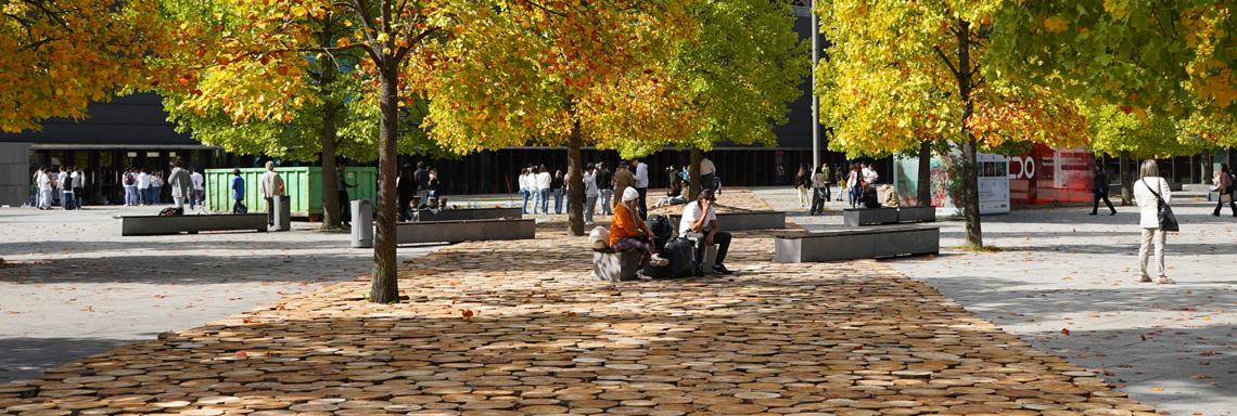 En medios: una gran alfombra de madera en la Plaza de Baluarte