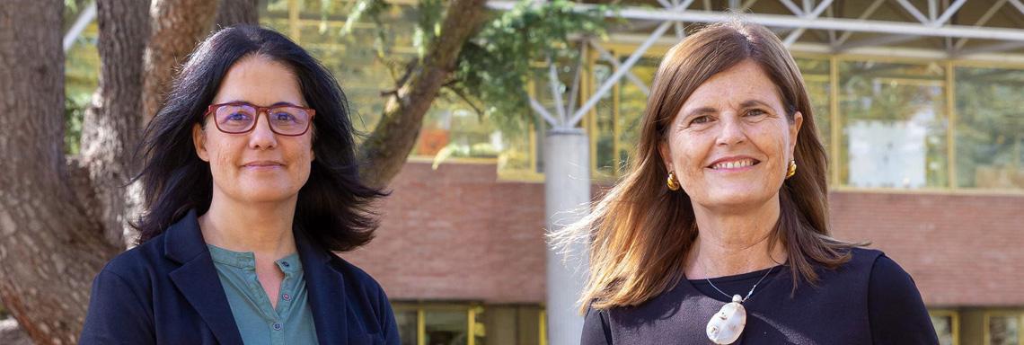 Two professors from the School of Architecture, among the most outstanding Spanish researchers according to the CSIC