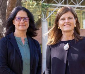 Two professors from the School of Architecture, among the most outstanding Spanish researchers according to the CSIC