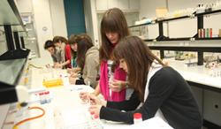 Más de 1.000 estudiantes, en las Semanas de la Ciencia de la Universidad de Nava